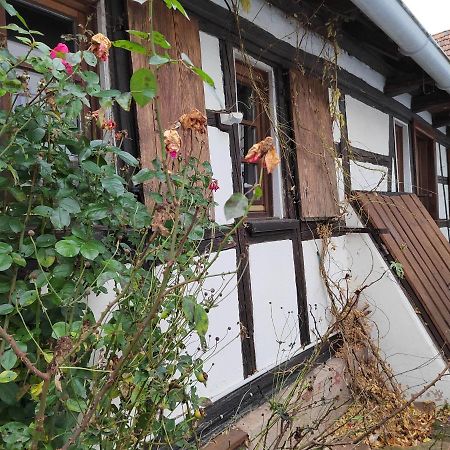 Petite Maison Alsacienne Entzheim Exteriér fotografie