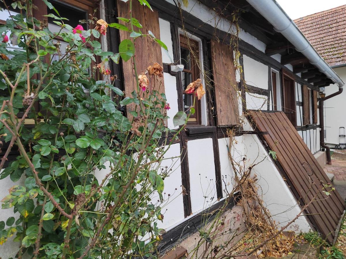 Petite Maison Alsacienne Entzheim Exteriér fotografie